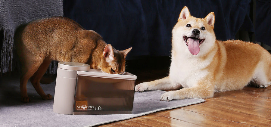 Voocoo Flow Automatic Sterilizing Pet Water Fountain - a stylish fountain that filters, sterilizes and encourages pets to drink more water. Unique angled tray prevents wet chins for a luxurious and indulgent experience.