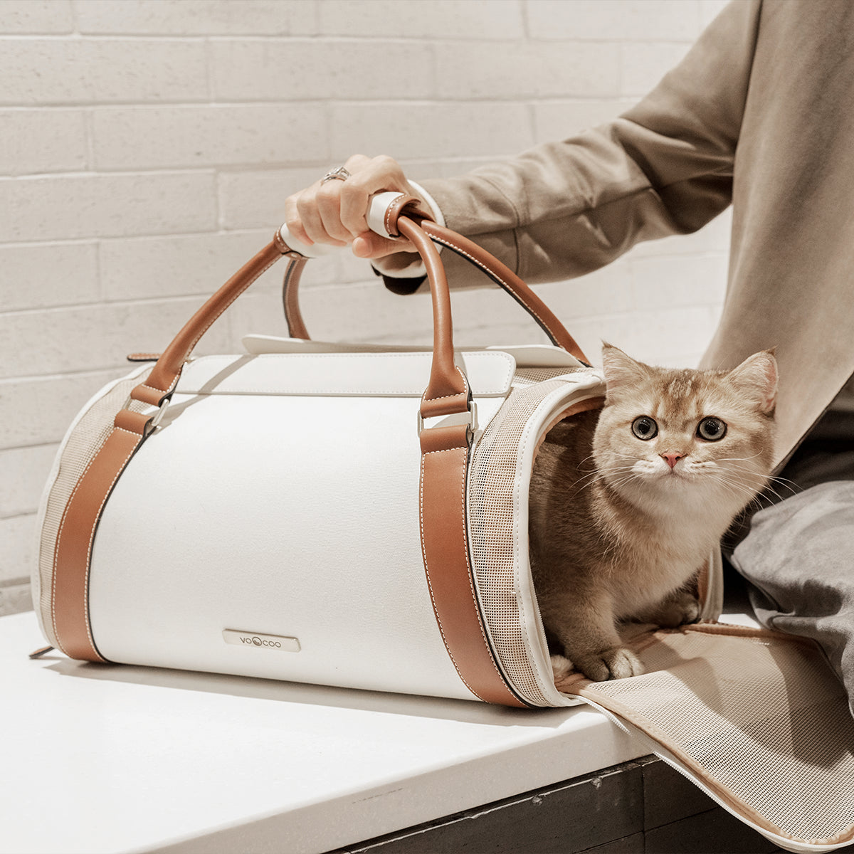 Fynn Hand Carry Pet Carrier: Easy access and ventilation for stress-free travel. Trolley sleeve and side pocket for convenience.