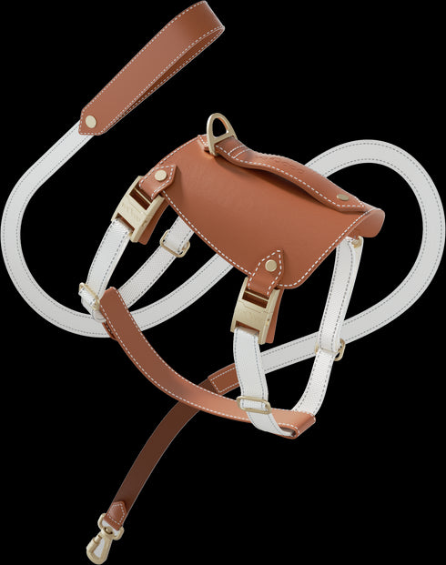 Saddle Pet Harness Set