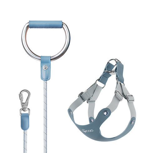 #OOTD Leash & Harness Set - Metal