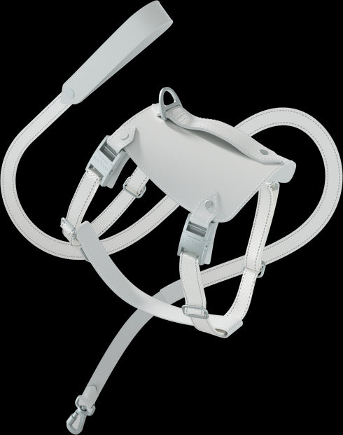 Saddle Pet Harness Set