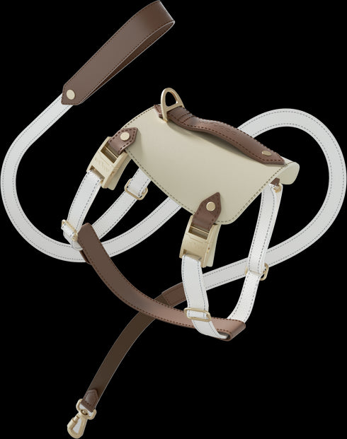 Saddle Pet Harness Set