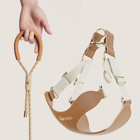 #OOTD Leash & Harness Set - Leather